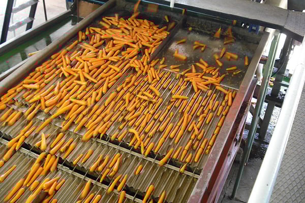 013-D Vibrating Length Sizer (10)_1