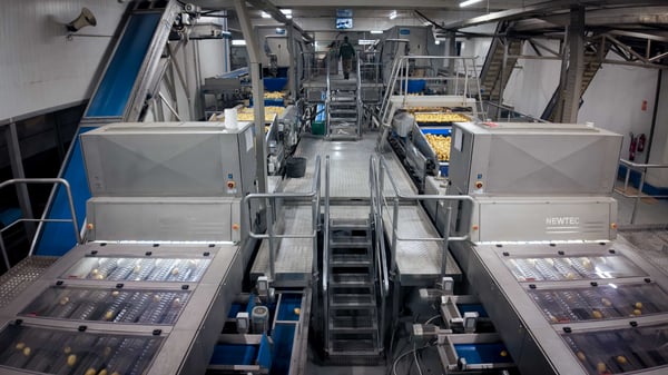 wymaDJI_20250227134248_0229_D.MP4.00_00_18_31.Still001-iberica_1