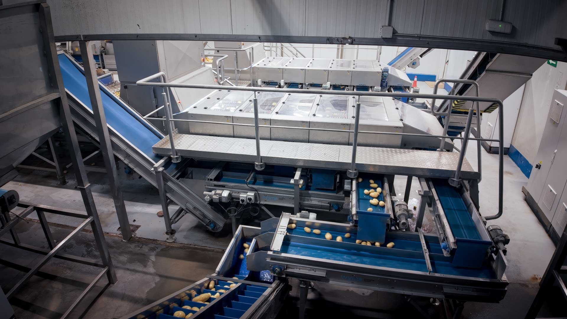 wymaDJI_20250227135017_0233_D.MP4.00_00_27_23.Still001-iberica_1