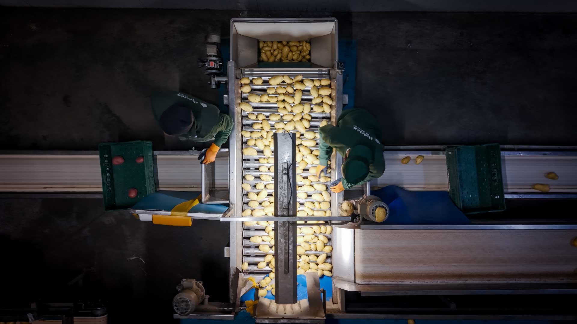 wymaDJI_20250227135658_0236_D.MP4.00_01_02_46.Still001-iberica_2