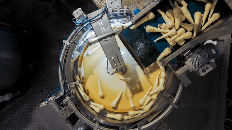 Wyma_FHF2_Rushes.00_41_31_00.Still001