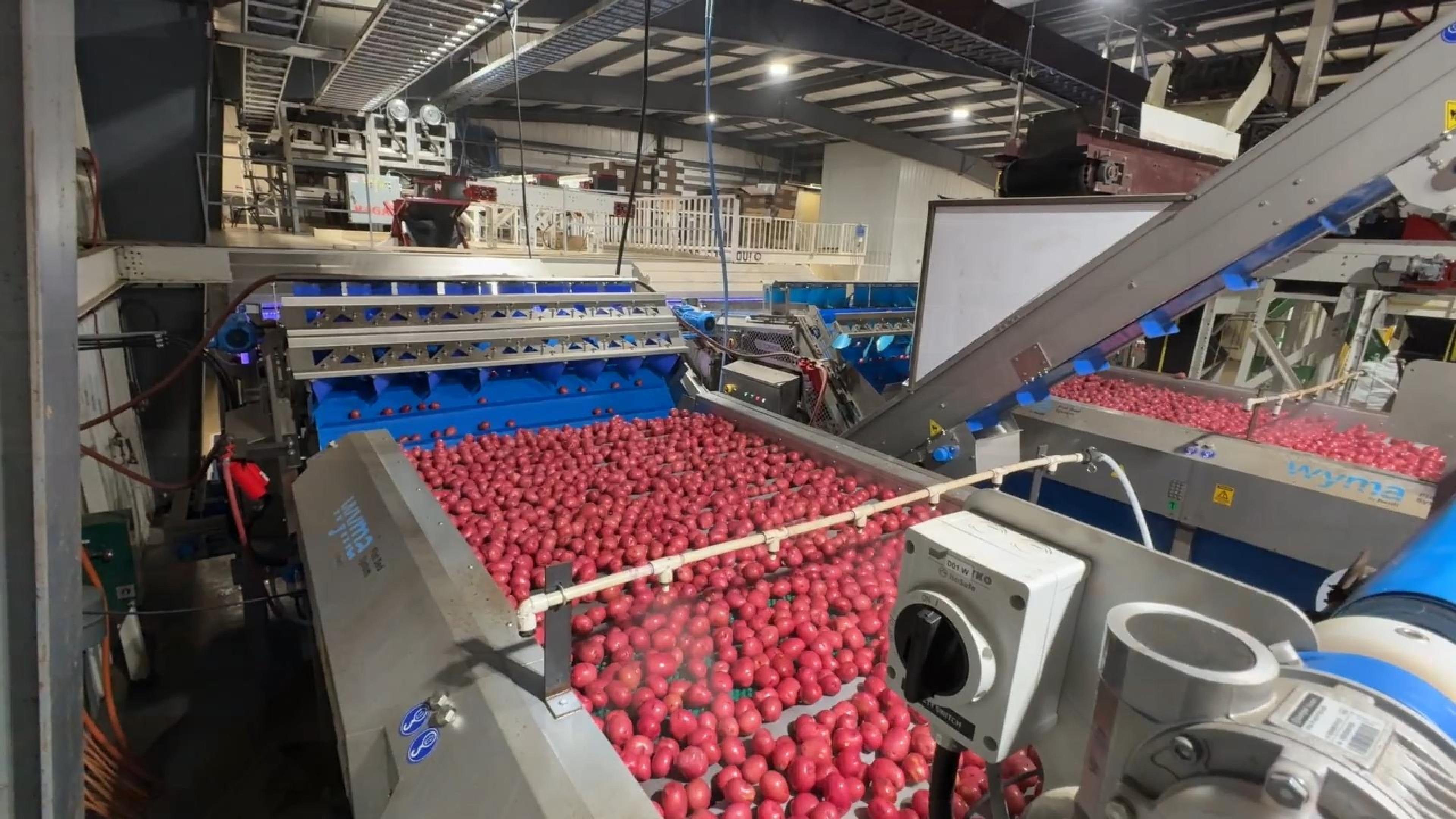 Wyma Flat Bed Brusher in a facility