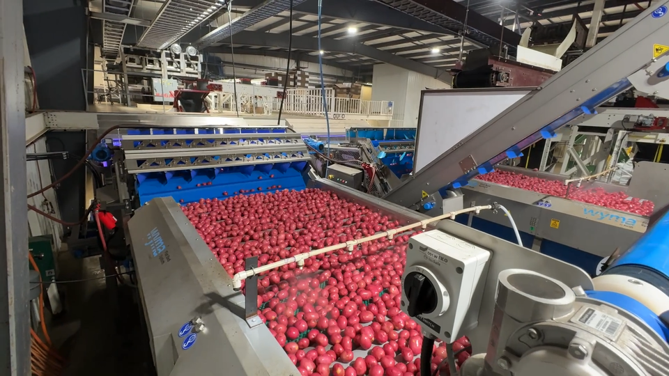 Wyma Flat Bed Brusher in a facility