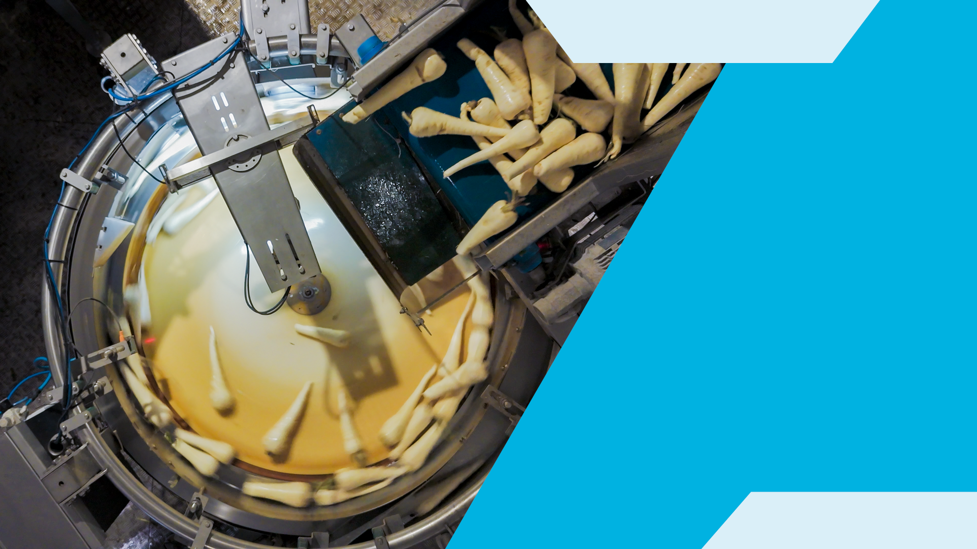 Designing for Flexibility