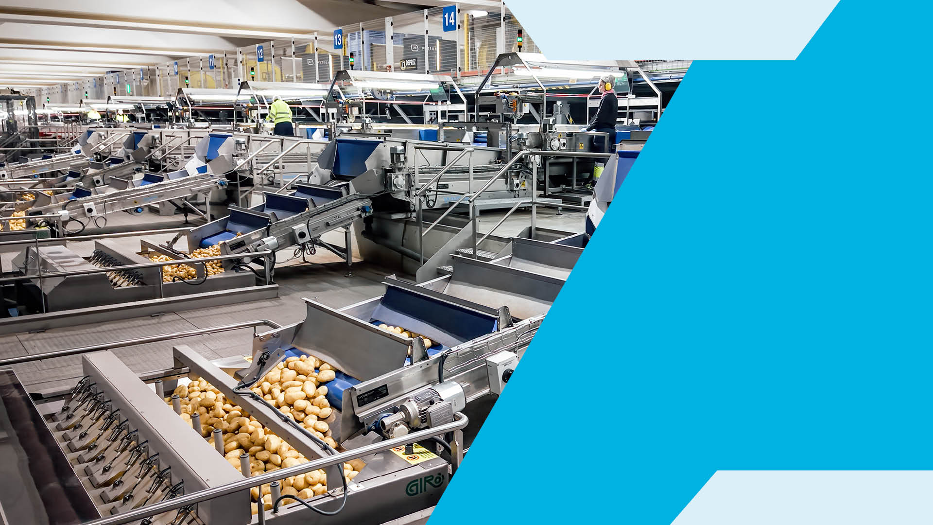 Brancheneinblick: Zukunftssichere Verarbeitungslinien für sich wandelnde Anforderungen im Einzelhandel und auf dem Markt