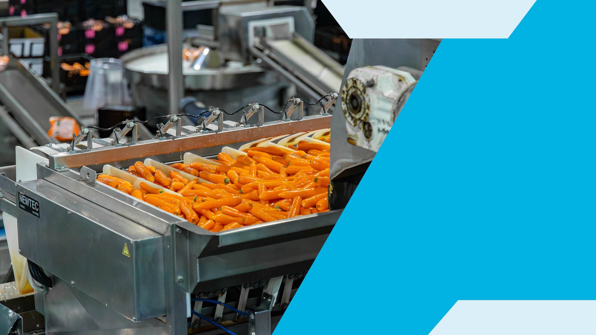 ¿Cuánto tiempo debe durar una línea de procesamiento? Diseño para un valor duradero