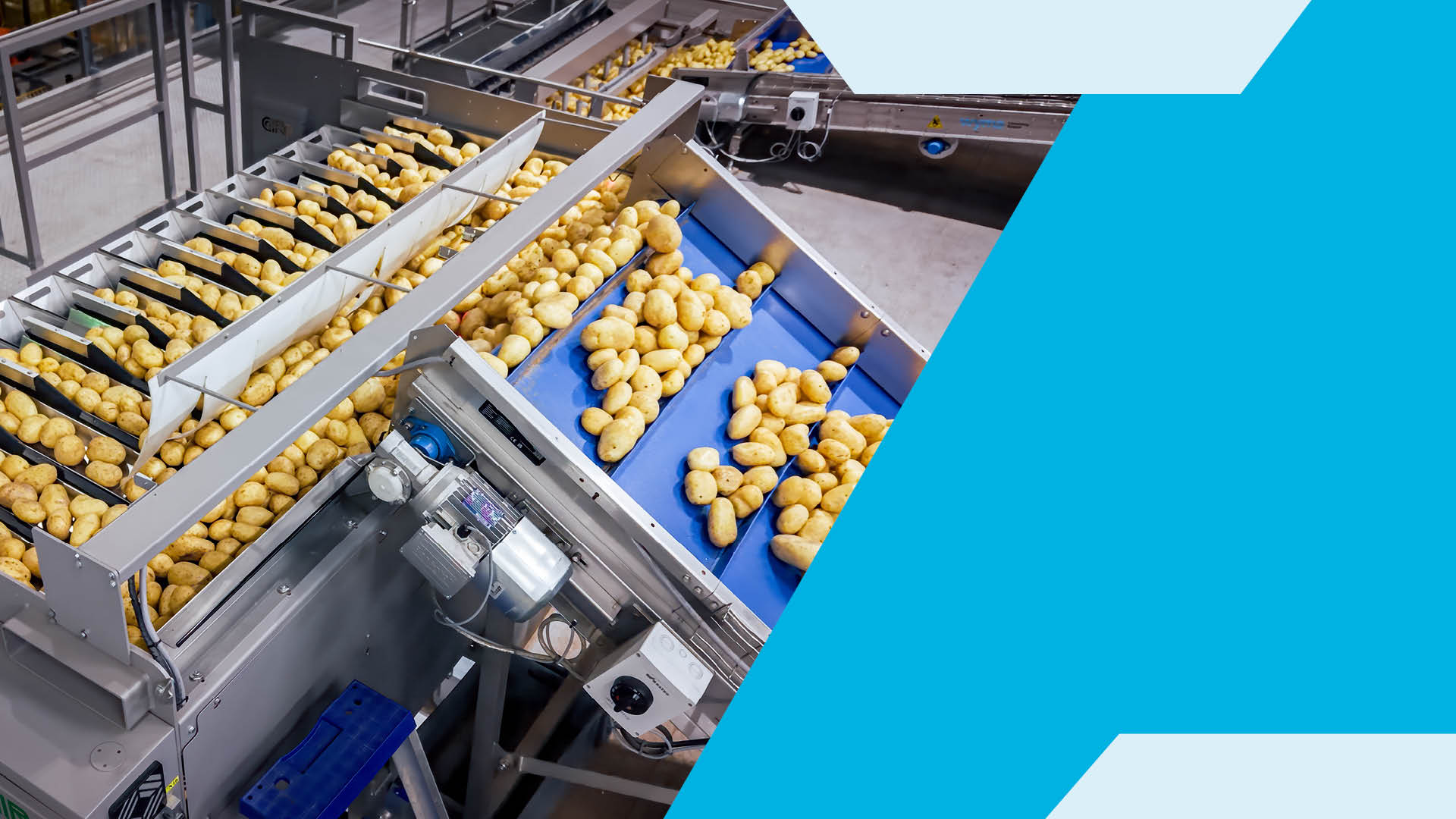 Customer Story – Automation Spotlight: Reducing Labour Reliance Through Smarter Processing