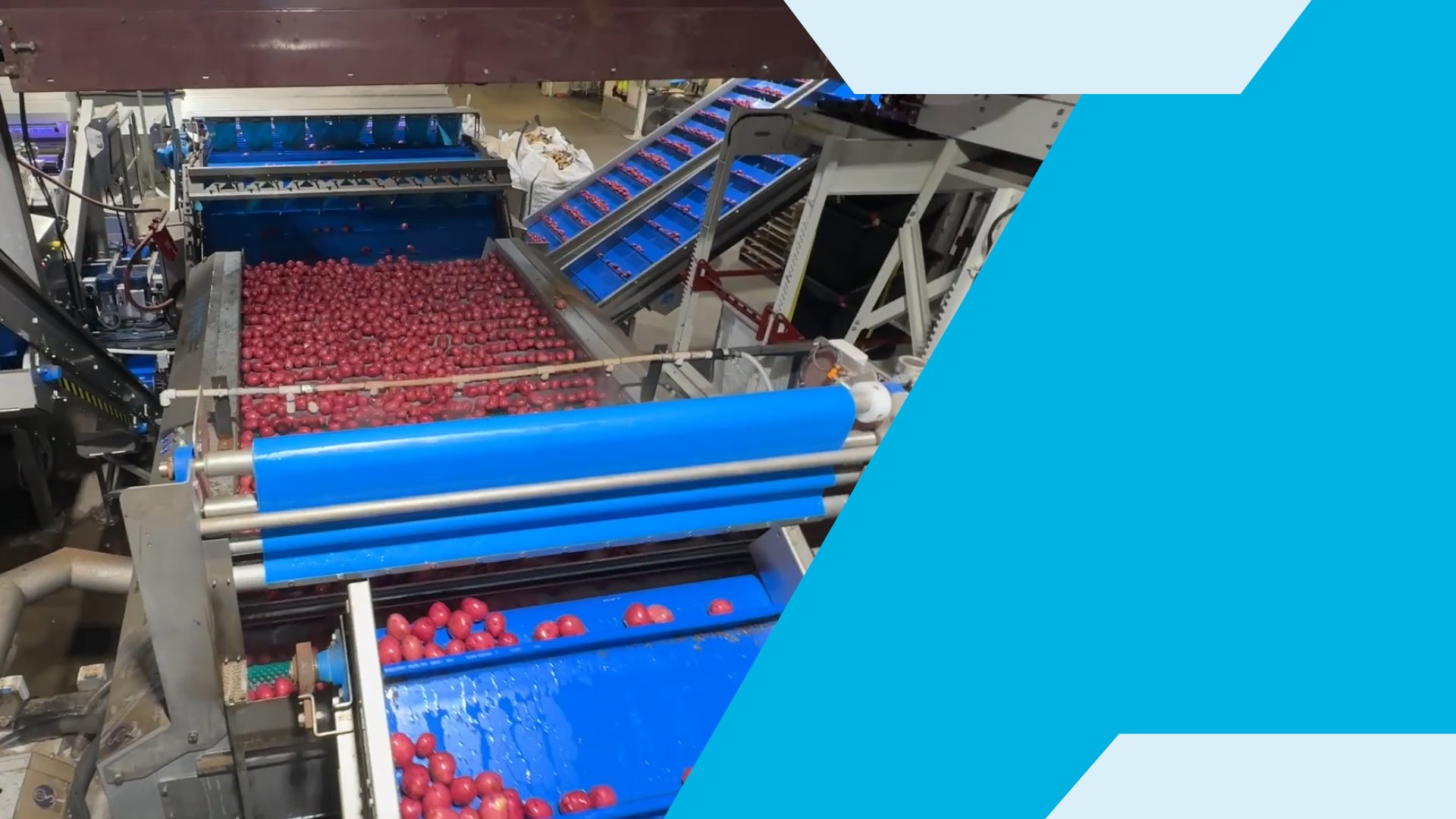 High Capacity Potato Wash Line - Heartland Fresh Pak Success