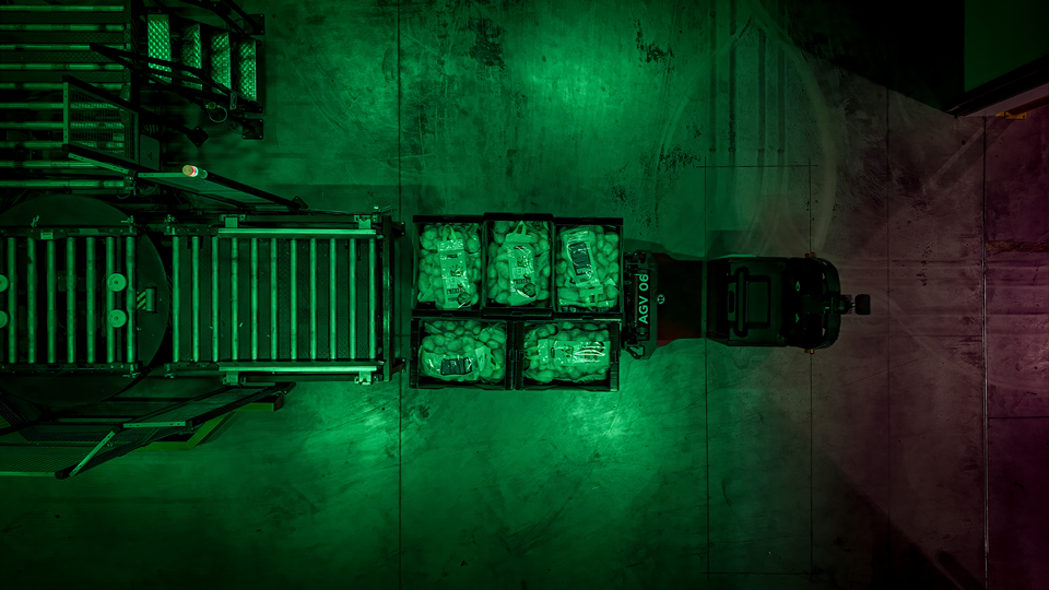 Potato Processing Facility