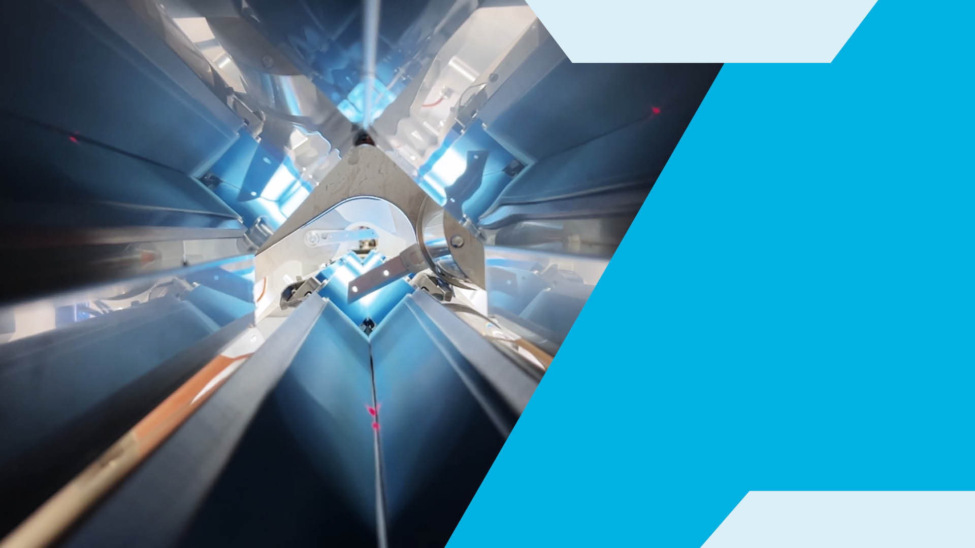 Carrot and Parsnip Processing Trends Across Global Markets