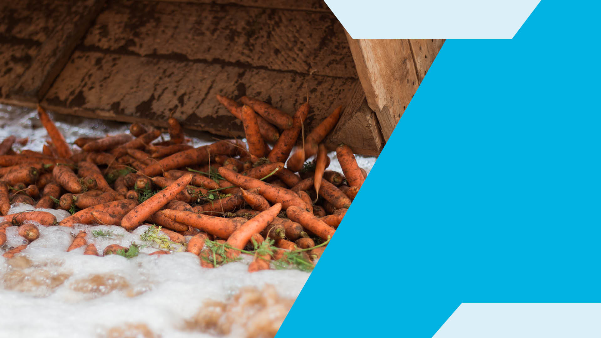 Se préparer à l'afflux printanier : débit, nettoyage et étalonnage