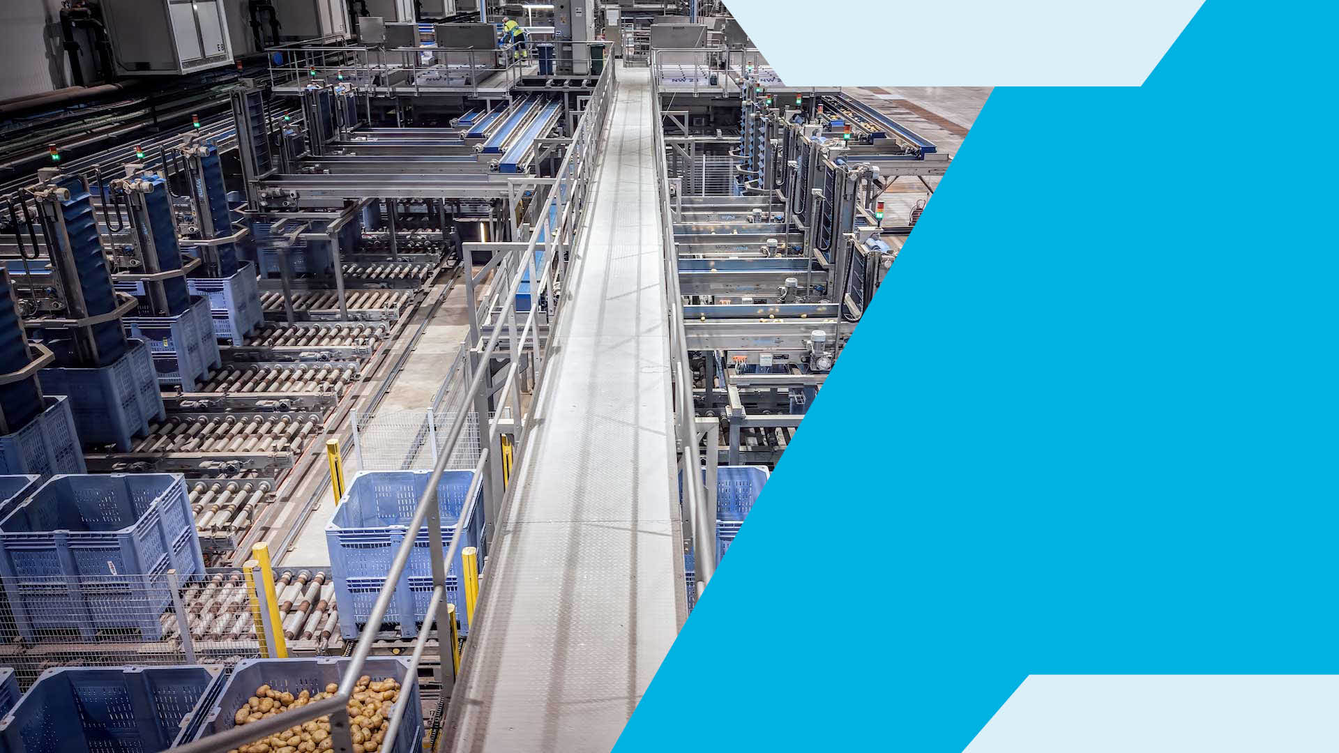 From Infeed to Packaging: Complete Line Solutions Built Around You