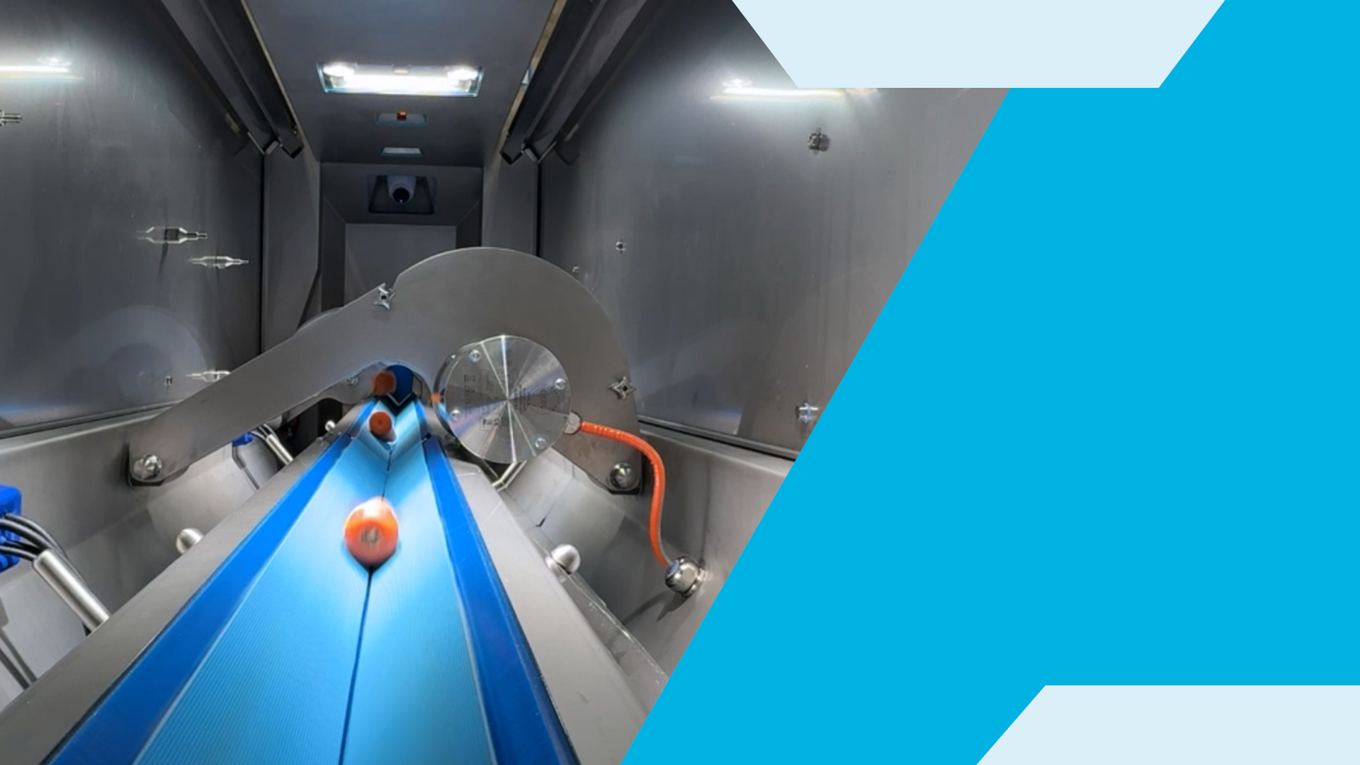 Introducing the Optical Vege-Trimmer™ - Precision Optical Cutting